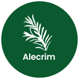 [EV] Footer 01 - Alecrim