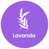 [EV] Footer 07 - lavanda
