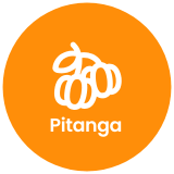 [EV] Footer 09 - pitanga 